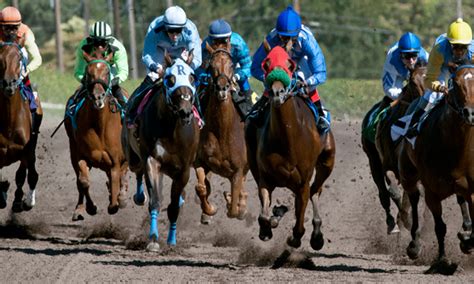 alameda county fairgrounds wager